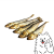 szprotki z logo 2.png