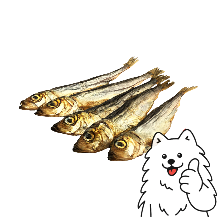 szprotki z logo 2.png