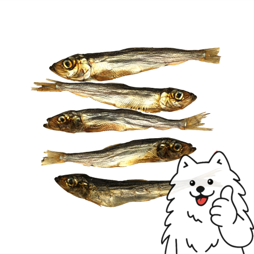 szprotki z logo 3.png