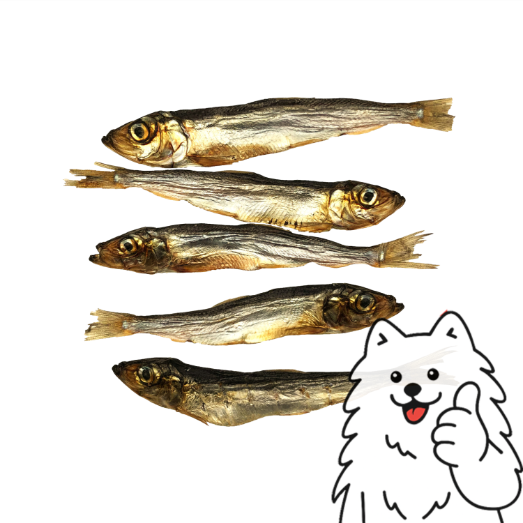 szprotki z logo 3.png
