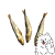 szprotki z logo.png