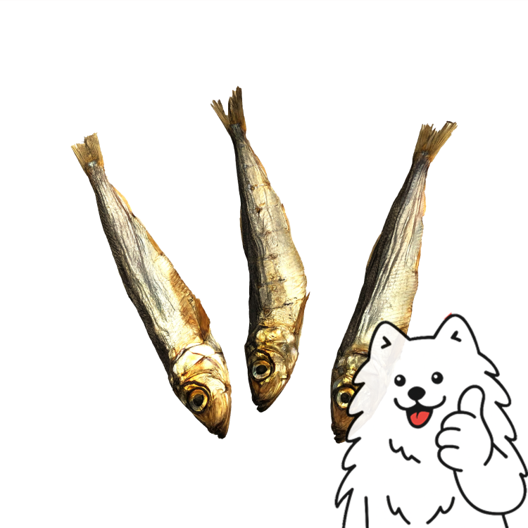 szprotki z logo.png