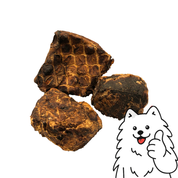 płucka z logo 2.png