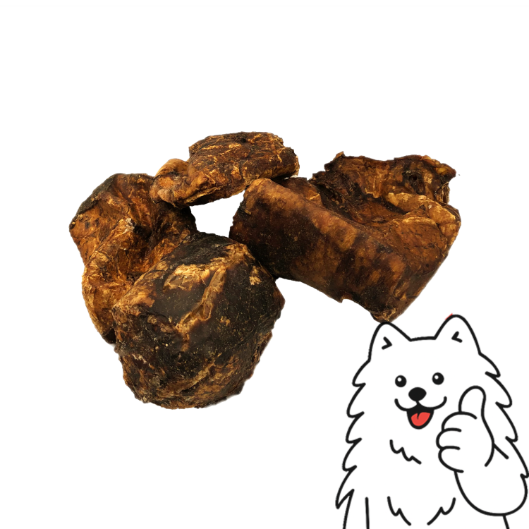 płucka z logo.png