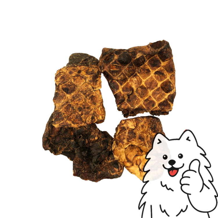 płucka z logo 1.png
