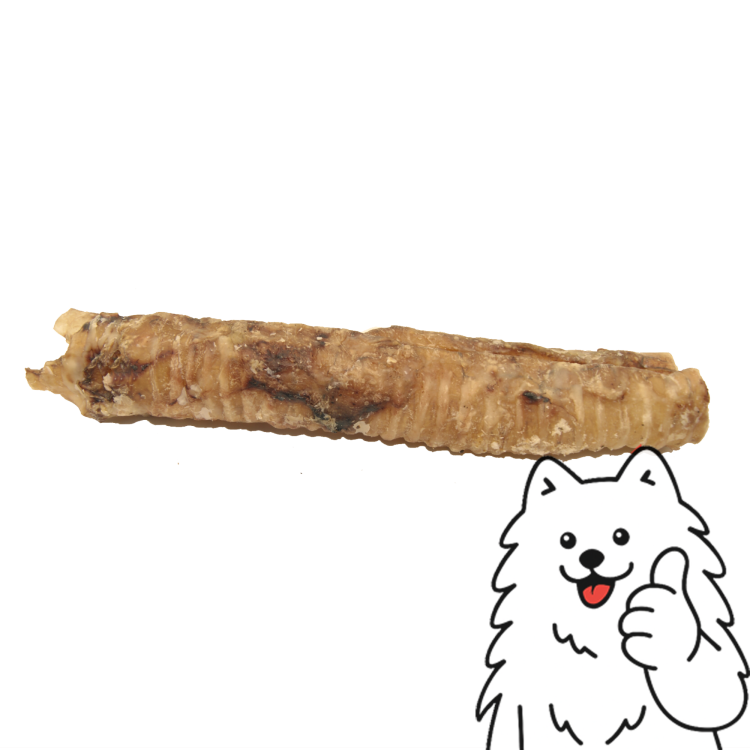 tchawica z logo 2.png