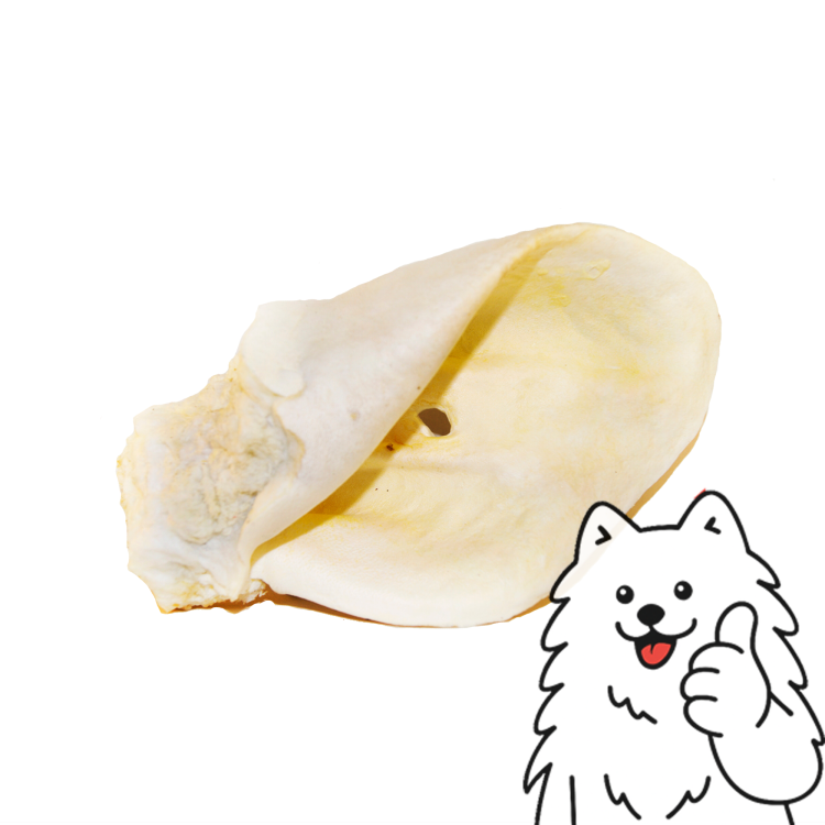 ucho wołowe białe logo.png