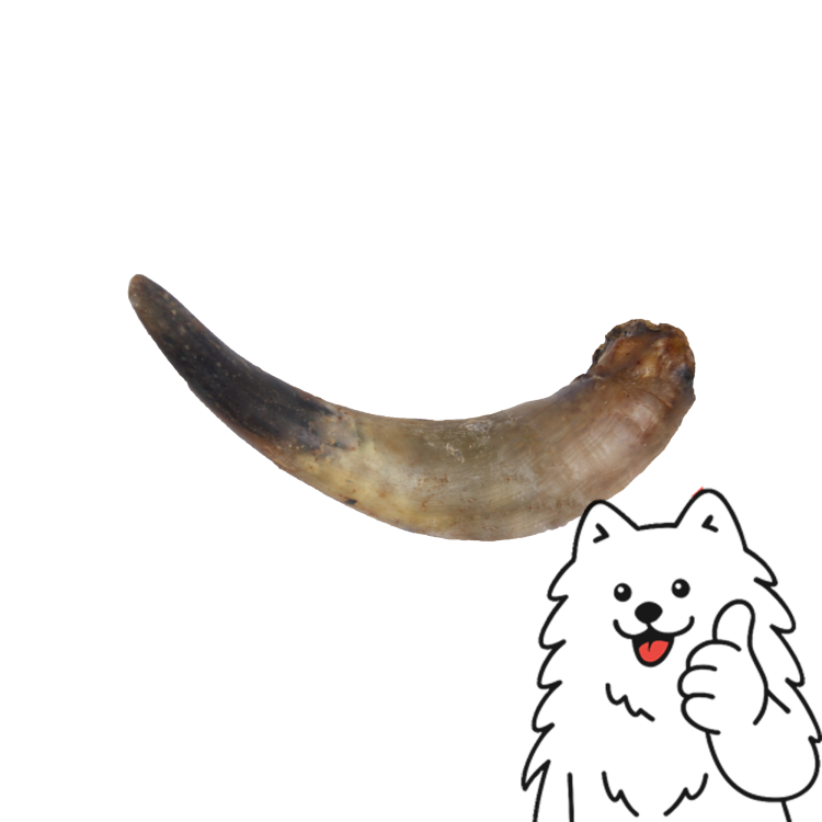 róg duży logo.png