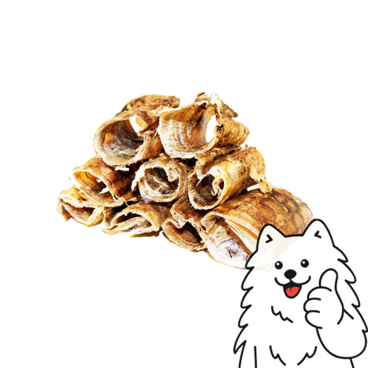 tchawica mała logo.png