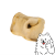 nos biały logo 1.png