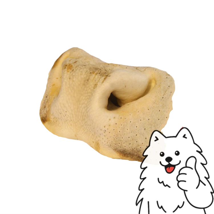 nos biały logo 1.png