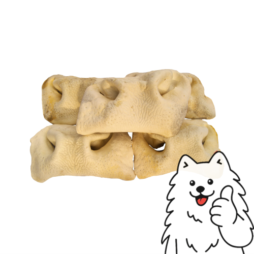 nos biały logo 2.png