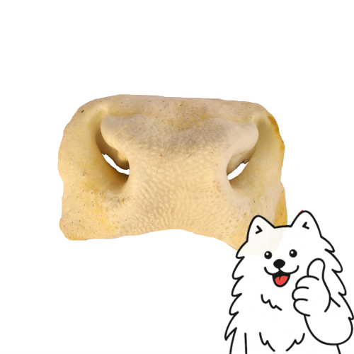 nos biały logo.png