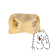 nos biały logo.png