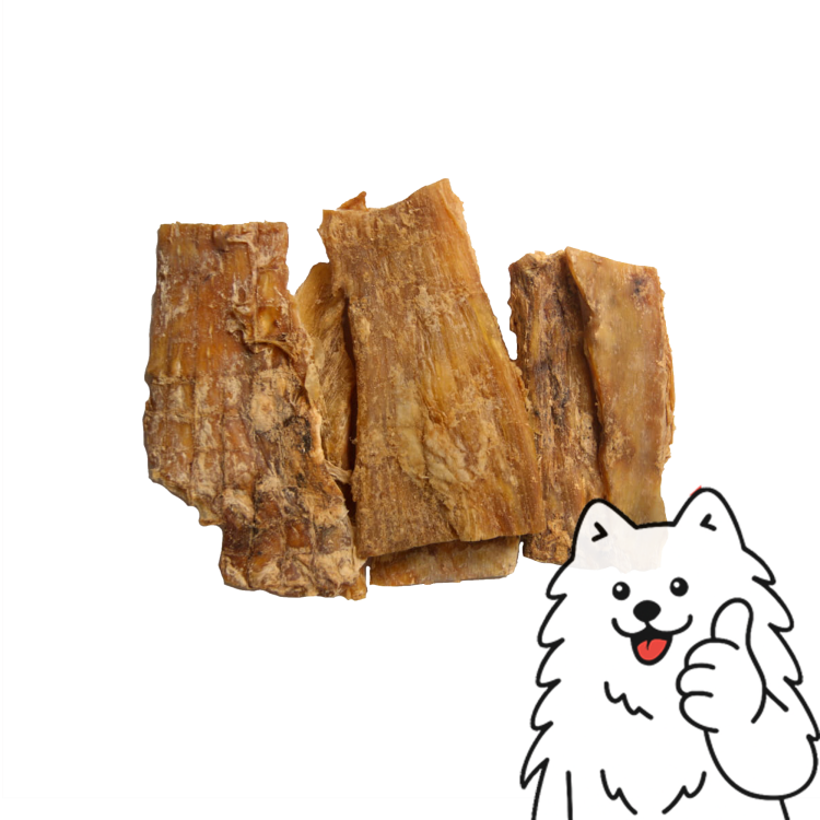 ścięgna logo 1.png