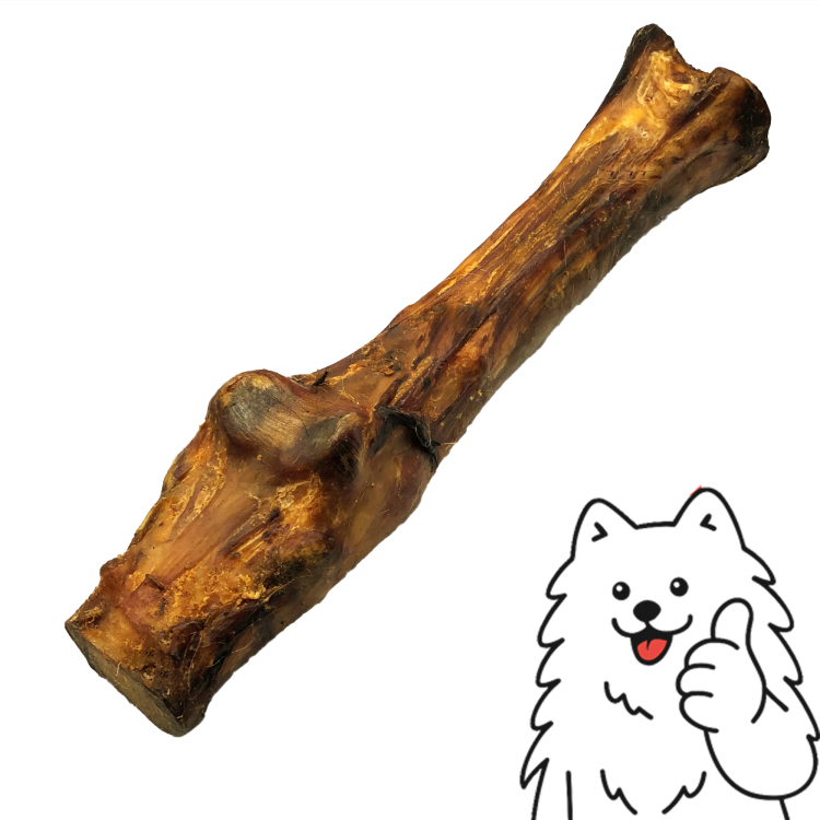 stopa konia z logo.png