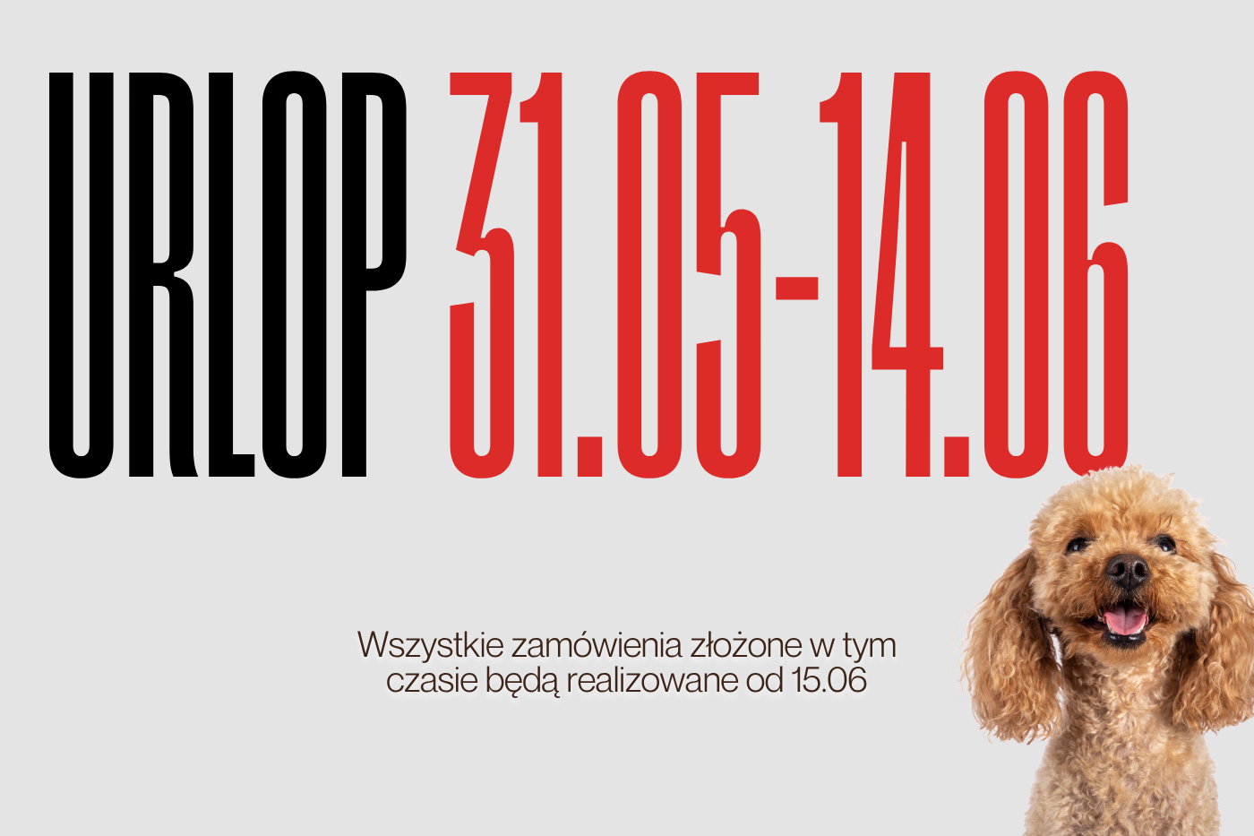 Płatności Shoper